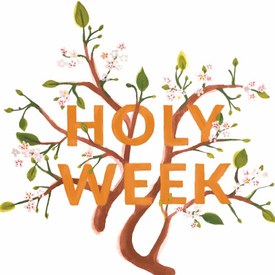 City Of Light Anglican Churchaurora, Illinois