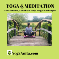 Episode 53: Yogi in Crisis