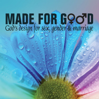 Made for Good | Part 3 | Made for Marriage  Singleness | Chris Voigt