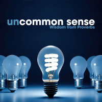 Uncommon Sense | Part 2 | Proverbs About Work and Wealth | Michelle Snook