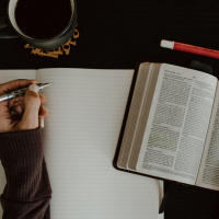 Mark 26 - From Wonder to Worship