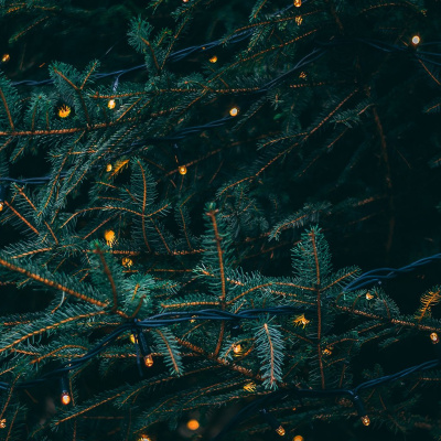 Citylight Church Sermon Audio