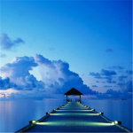 Motivation (the Art Of Motivation)