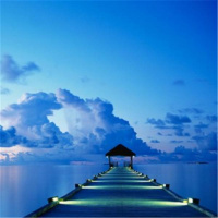 MOTIVATION (The Art Of Motivation )