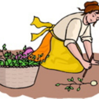 Gardening