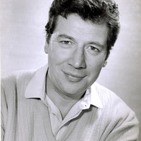 Tulips From Amsterdam