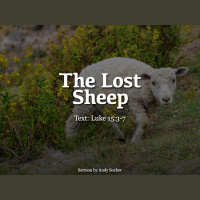 The Lost Sheep