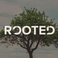 Rooted: Week 4