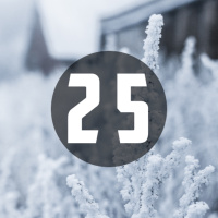 25-DWI Reformed Collective