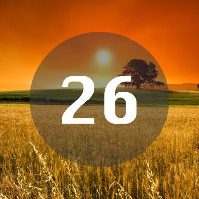 Deal With It Podcast