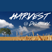 Harvest 2019 - Audio