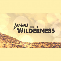 Hope in the Wilderness - Audio