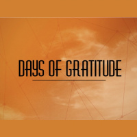 Rejoice in Everything - Audio