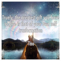 The Journey Through Enlightenment