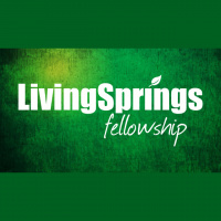 Living Springs - Plus ONE - Audio