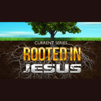 Rooted In Jesus - Home and Family - Audio