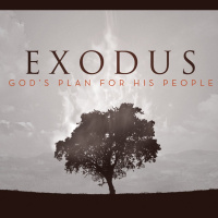 Exodus: A Choice to Make