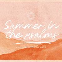 Summer In The Psalms | Ryan van Zyl
