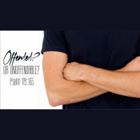 AM: Offended, or Unoffendable? - Audio