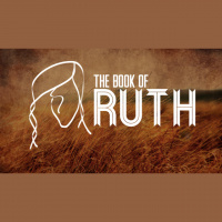 PM: In the field of Grace - Audio