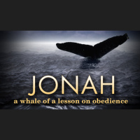 SS: The Proceeding of the Journey - Audio