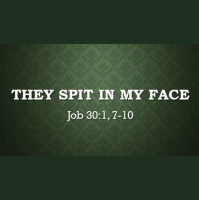 They Spit In My Face - Audio