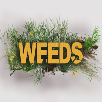 WEEDS - Pt. 2