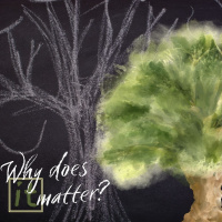 Why does it matter? Your Purpose