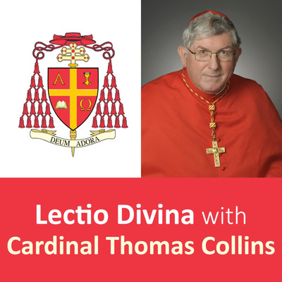 Lectio Divina With Cardinal Thomas Collins - Archdiocese Of Toronto