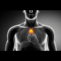 Supercharge Your Health Radio 4.27.13