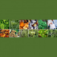 Supercharge Your Health Radio 3.02.13