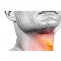 Healthy Thyroid Workshop