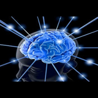 Maximize Your Brain 2