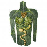 Supercharge Your Health Radio 8.17.13