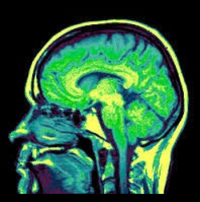 Exodus Health Center