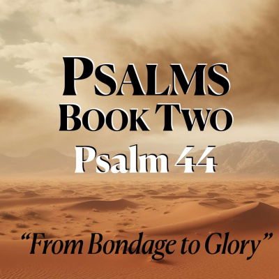 David Hennekes Podcast