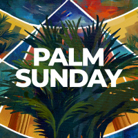 The Confusion of Palm Sunday | Neal Rich | 04.13.25