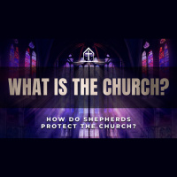 Acts 20:25-32 / How do shepherds protect the church? - Audio