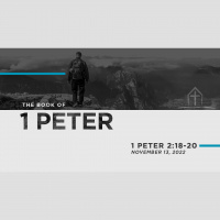 1 Peter 2:18-20 - Audio