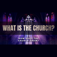 Matthew 28:16-20 / How does the church grow? - Audio