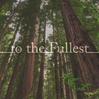 To the Fullest - Part 4