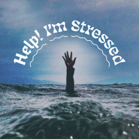 You Can’t Be Serious?