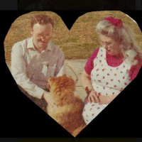 Episode 227: To My Sweet Wife, Geneva.