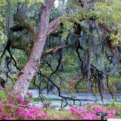 David Morans Amen Corner Radio Program