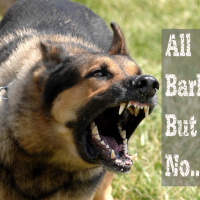 All Bark and No...Bite