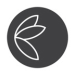 Genesis Church - Carmel