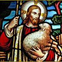 A Good Shepherd on Bad Shepherd Sunday