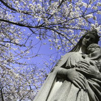 Life in the Resurrection