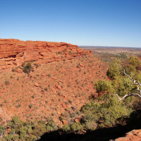 Comfortable Christians