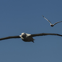 A Choice in the Darkness